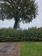 Lichtmast - Zelf demonteren & ophalen, Ophalen