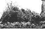 965037	Hogelande bij Grijpskerke	Zeeland	1974 Sint Maarten	M, Verzamelen, Ansichtkaarten | Nederland, Ophalen of Verzenden, 1960 tot 1980