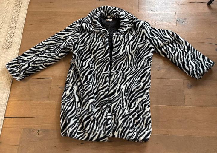 Zebra/Panter Carnaval Jas, Kleding | Heren, Carnavalskleding en Feestkleding, Zo goed als nieuw, Kleding, Carnaval, Maat 56/58 (XL)