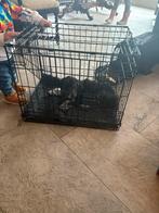 Honden bench, Ophalen, Zo goed als nieuw