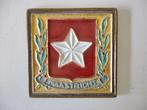 Porceleyne Fles Delft Cloisonné Tegel Maastricht, Ophalen of Verzenden