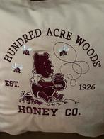 Winnie de Poeh Kussen - Nieuw & Handgemaakt, Ophalen of Verzenden, Nieuw, Vierkant