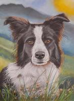 Schilderij border collie 1 met lijst - hondenschilderij hond, Ophalen of Verzenden