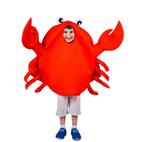Carnaval verkleed kleding kind krab onderwaterwereld, Ophalen of Verzenden, Zo goed als nieuw, Carnaval