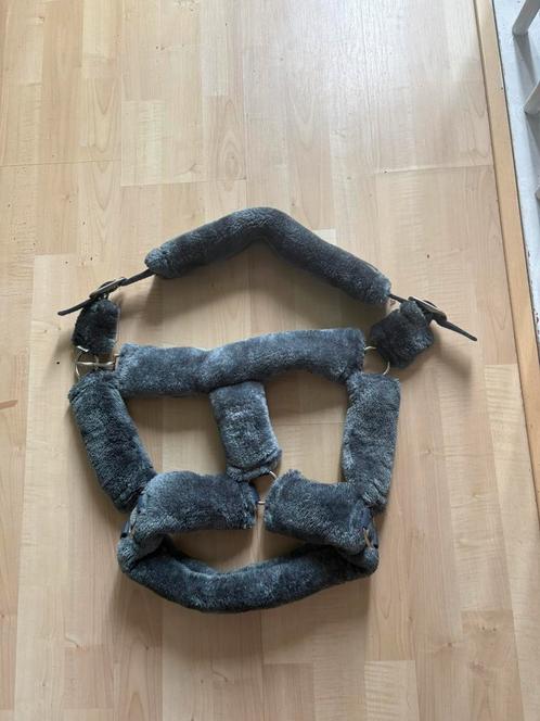 Nieuwe Luxe Halsters met Zachte Wol – Topkwaliteit, Dieren en Toebehoren, Paarden en Pony's | Hoofdstellen en Tuigage, Nieuw, Dressuur