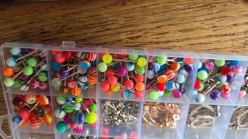 Piercingss beschikbaar voor biedingen