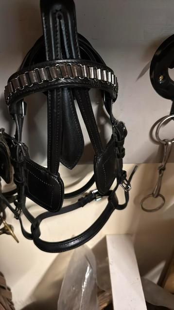 Mentuigje voor  A pony (ea spullen ) beschikbaar voor biedingen