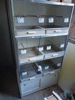 Broedkooien te koop, Dieren en Toebehoren, Vogels | Hokken en Kooien, Ophalen, Gebruikt, Kunststof, Broedkooi of Kweekkooi