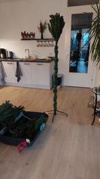 Kunst kerstboom, Ophalen, Zo goed als nieuw