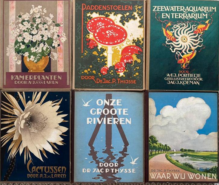 Verkade albums, Boeken, Prentenboeken en Plaatjesalbums, Gelezen, Plaatjesalbum, Ophalen of Verzenden