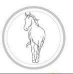 Dressuur/Spring Instructrice aangeboden, Ophalen