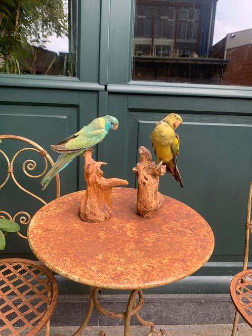 Decoratieve Vogels op Sokkel - Houtsnijwerk Beelden Set van, Antiek en Kunst, Kunst | Beelden en Houtsnijwerken, Ophalen