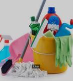 Huishoudelijke hulp  aangeboden, Vacatures, Vacatures | Schoonmaak en Facilitaire diensten, Overige niveaus, Vanaf 10 jaar, Overige vormen