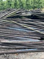 Gecreosoteerde Boompalen 250cm, Tuin en Terras, Palen, Balken en Planken, Ophalen, Gebruikt, Overige typen