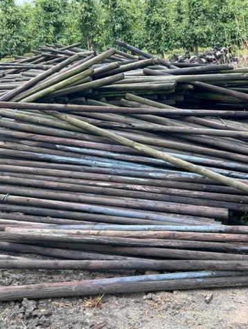 Gecreosoteerde Boompalen 250cm beschikbaar voor biedingen