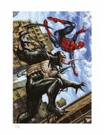 Sideshow art print - Spiderman vs Venom, Rechthoekig Staand, Ophalen of Verzenden, Zo goed als nieuw, A1 t/m A3