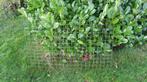 Gaas, gaaspanelen, Tuin en Terras, Gaas en Draad, Ophalen, Gebruikt, Minder dan 10 meter, Gaas