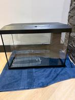 Aquarium, Ophalen, Gebruikt, Leeg aquarium