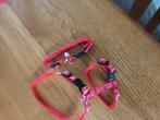 Tuigje en halsbandje, Dieren en Toebehoren, Ophalen, Zo goed als nieuw