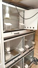 3x bakker kweek kooien, Ophalen of Verzenden, Zo goed als nieuw, Aluminium, Broedkooi of Kweekkooi