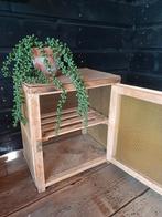 Vliegenkastje/brocante kastje, Ophalen of Verzenden