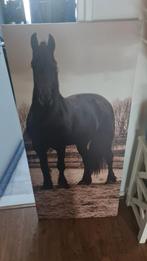 Canvas schilderij paard, Ophalen of Verzenden