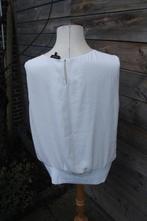 Top ecru claudia Strater mt 46 Vaste prijs, Beige, Maat 46/48 (XL) of groter, Ophalen of Verzenden, Zo goed als nieuw