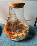 Glazen vaas met droogbloemen, Ophalen, Zo goed als nieuw
