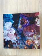 Through the looking-glass van Margriet Smulders 31/50 2005, Antiek en Kunst, Ophalen of Verzenden