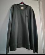 Chasin' trui, maat XXL, groen/grijs, Kleding | Heren, Chasin', Overige maten, Ophalen of Verzenden, Zo goed als nieuw