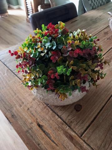 Kunstplant halve bol beschikbaar voor biedingen