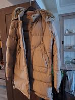 Parajumper dames young large, Ophalen of Verzenden, Zo goed als nieuw, Maat 42/44 (L), Beige