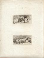 Johann Adam Klein ets "Schapen" en "Ram met Schapen ",1813, Huis en Inrichting, Minder dan 50 cm, Overige typen, Minder dan 50 cm