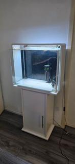 Superfish home 80 liter aquarium + onderkast, Ophalen, Leeg aquarium