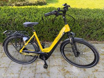 Pegasus Ravenna Evo 8F Belt E-bike dames Nieuw! beschikbaar voor biedingen