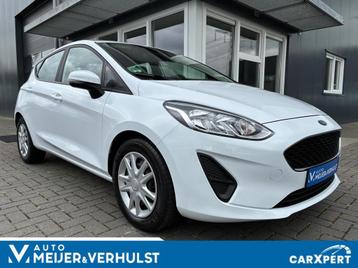 Ford Fiesta 1.0 EcoBoost 100 PK Trend | AUTOMAAT | WINTER PA beschikbaar voor biedingen