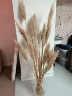 Pampas pluimen met vaas, Huis en Inrichting, Woonaccessoires | Droogbloemen, Ophalen, L, L, Zo goed als nieuw