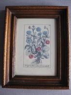 mooie afbeelding in lijst--bloemenprint, Ophalen of Verzenden