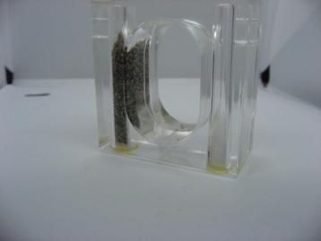 Peper en Zout in plexiglas blokje beschikbaar voor biedingen