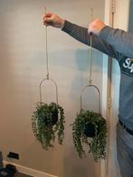2x Plantenhangers IKEA + Zwart Gespoten Potten, Ophalen, Gebruikt, Rond, Binnen