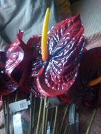 Anthurium kunstbloemen van SILKA-KA, Huis en Inrichting, Ophalen of Verzenden, Nieuw