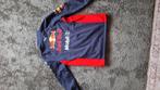 F1 Red Bull Softshell Jacket Max Verstappen, Ophalen of Verzenden, Zo goed als nieuw