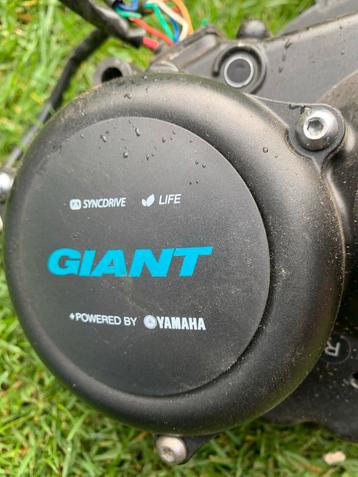 Giant SyncDrive Yamaha Motor beschikbaar voor biedingen