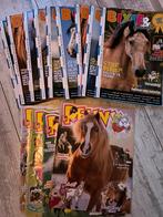 Paarden tijdschriften, Ophalen of Verzenden, Zo goed als nieuw, Sport en Vrije tijd