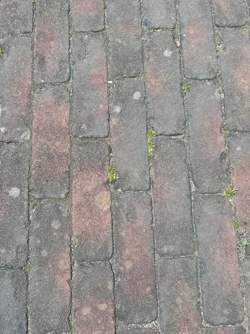 Gebakken klinkers beschikbaar voor biedingen
