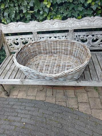 Hondenmand beschikbaar voor biedingen