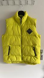 Hele mooie dikke bodywarmer, Falcon, Maat 42/44 (L), Ophalen of Verzenden, Zo goed als nieuw