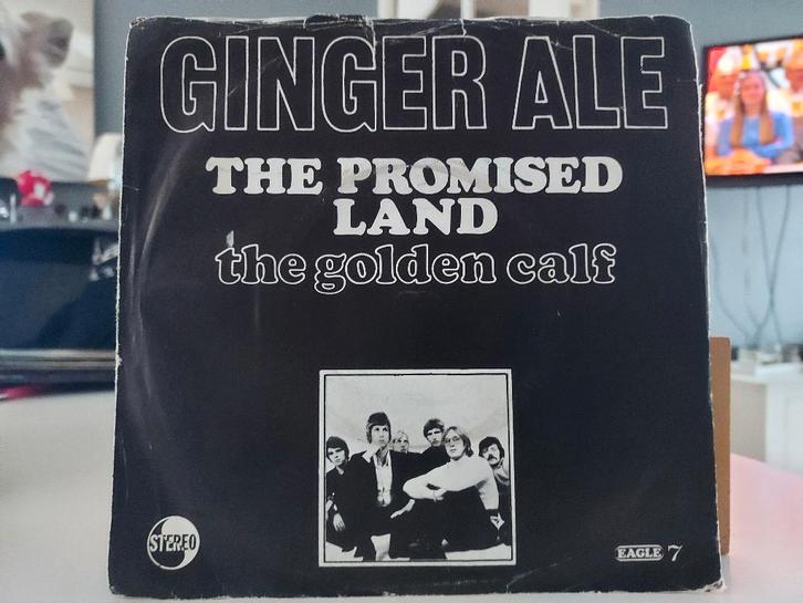 7" Single Ginger Ale - The Promised Land / The Golden Calf, Cd's en Dvd's, Vinyl Singles, Gebruikt, Single, Pop, 7 inch, Ophalen of Verzenden