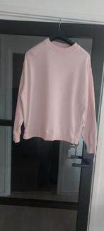 Replay prachtige sweater., Replay, Ophalen of Verzenden, Zo goed als nieuw, Roze