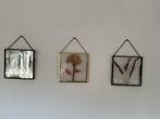 Set van 3 ingelijste gedroogde bloemen, Ophalen of Verzenden, Nieuw, Metaal of Aluminium, Minder dan 50 cm